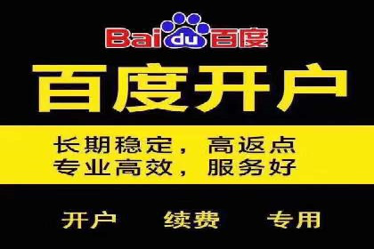 百度推广服务费案例：快速提升品牌知名度
